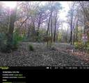 TBD 3rd Street - Photo 30