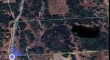 TBD County Road 2480 - Photo 15