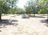 TBD County Road 216 - Photo 11