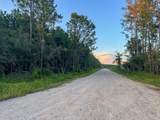 T-1 Starks Big Woods Rd. - Photo 11