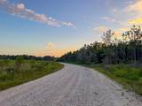 T-1 Starks Big Woods Rd. - Photo 12