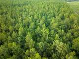 T-1 Starks Big Woods Rd. - Photo 15