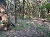 16333 Co Rd 339 - Photo 4
