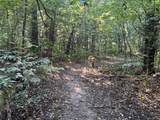 16333 Co Rd 339 - Photo 5