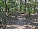 16333 Co Rd 339 - Photo 6