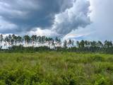 T-2 Highway 127 - Photo 4