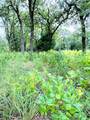 TBD Trailride - Photo 3