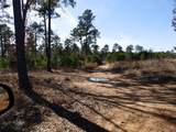 20175 Hwy 155 Lot E1 - Photo 30