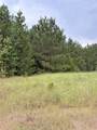 1388 County Road 1060 - Photo 10