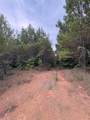 1388 County Road 1060 - Photo 4