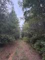 1388 County Road 1060 - Photo 5