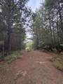 1388 County Road 1060 - Photo 7