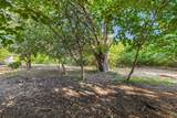 2405 Meadow Lane - Photo 32