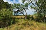 241 Whitetail Springs Lane - Photo 10