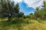 241 Whitetail Springs Lane - Photo 11