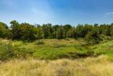 241 Whitetail Springs Lane - Photo 12