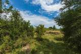 241 Whitetail Springs Lane - Photo 14