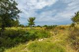 241 Whitetail Springs Lane - Photo 7