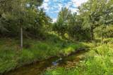241 Whitetail Springs Lane - Photo 8