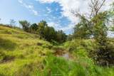 241 Whitetail Springs Lane - Photo 9