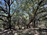 137 County Road 137 - Photo 11