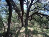 137 County Road 137 - Photo 19
