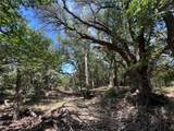 137 County Road 137 - Photo 25