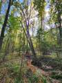 Lot 283 Eland Trail - Photo 5