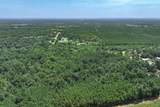 Tract 3 County Road 4102 - Photo 11