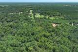 Tract 3 County Road 4102 - Photo 4