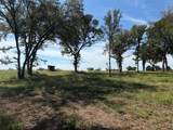 1917 Wildcat Circle - Photo 14