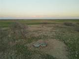 240 Acres Cr 4351 - Photo 5