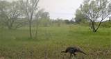 14 Acres Fm 765 - Photo 6