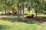 279 County Road 1325 - Photo 32