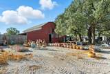 3240 Highway 183 - Photo 14