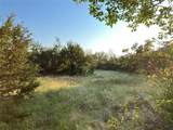 Tract 19 County Road 493 - Photo 16