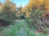 Tract 19 County Road 493 - Photo 9