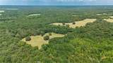 43 Acres Fm 69 - Photo 11