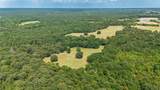 43 Acres Fm 69 - Photo 9
