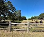 TBD Trailwood Drive - Photo 2
