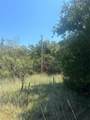 TBD County Road 1335 - Photo 10