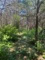 TBD County Road 1335 - Photo 13