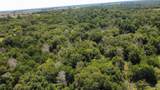 TBD County Road 1335 - Photo 16
