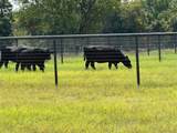 8690 Fm 922 Highway - Photo 31