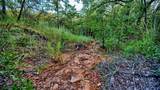 Lot 34 Red Oak Hills Road - Photo 10