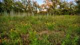Lot 34 Red Oak Hills Road - Photo 19