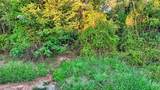 Lot 34 Red Oak Hills Road - Photo 7