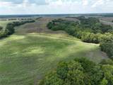 14589 Farm Road 137 - Photo 4