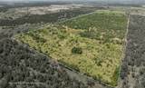5170 County Road 125 - Photo 13