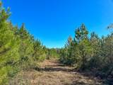 7 & 8 County Road 3121 - Photo 14